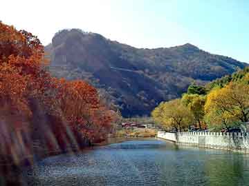 新澳门二四六天天彩，求租空压机